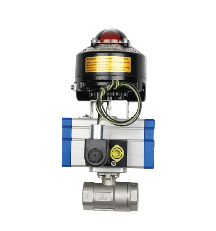 Plug Valve