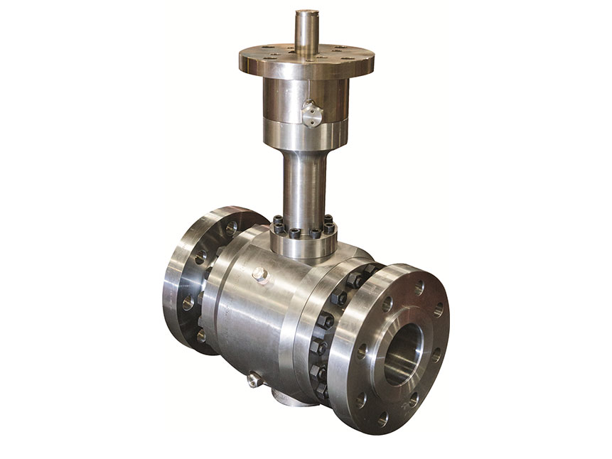 Check Valve